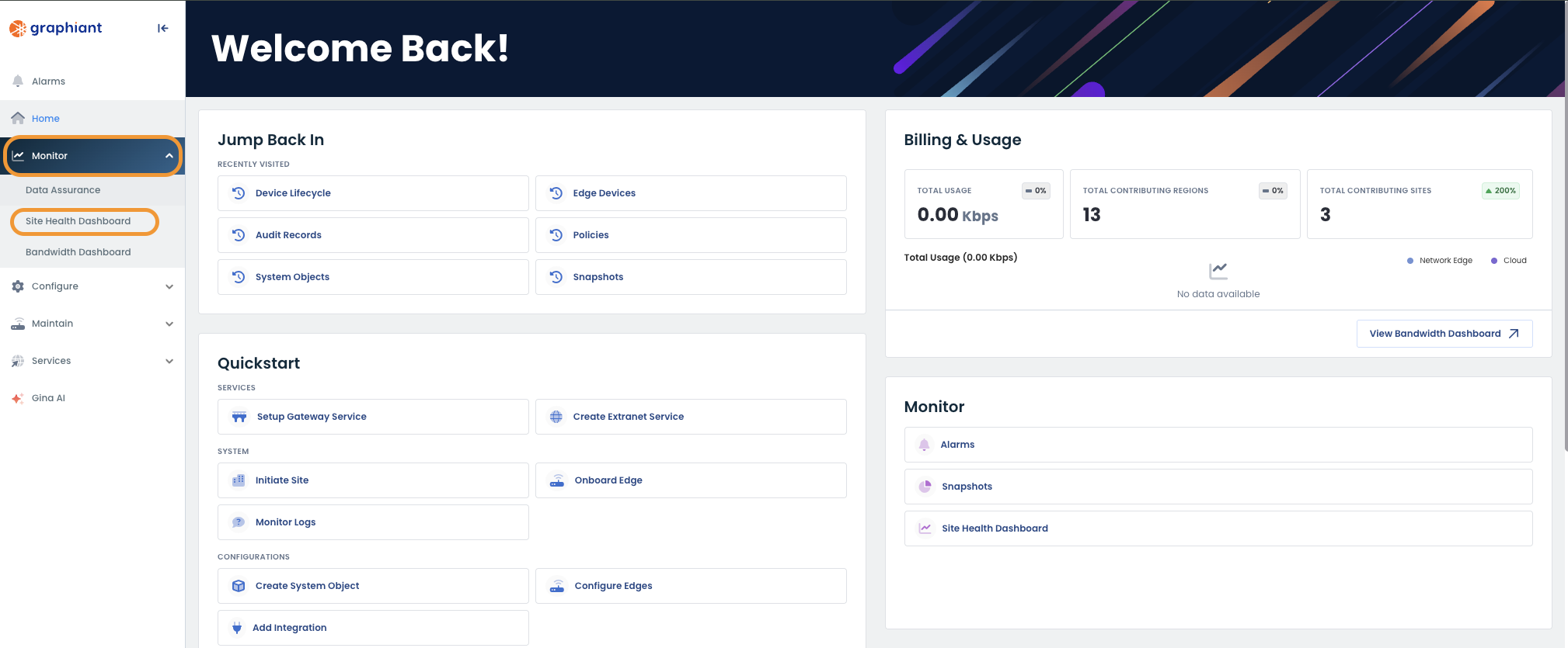 Dashboard overview displaying site health, usage statistics, and quick access services.